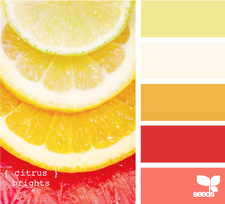 ɫϵ-CitrusBrights610.png