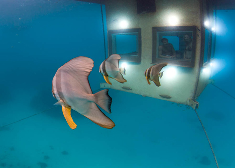 Underwater-Room-at-The-Manta-Resort_dezeen_2.jpg