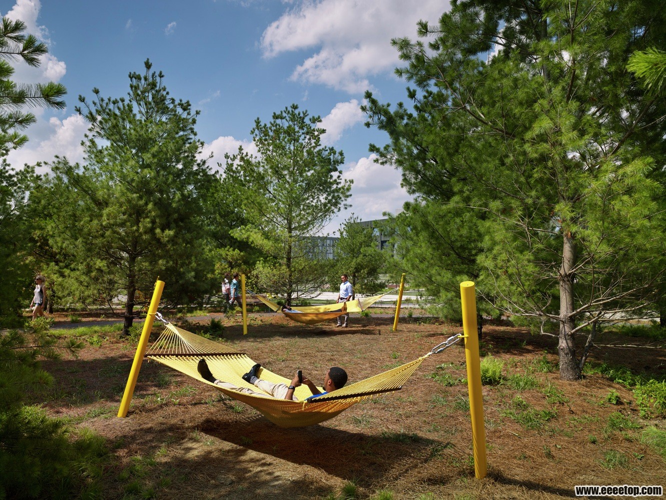 CENTRAL_GREEN_HAMMOCK_GROVE_HALKIN_MASON.jpg