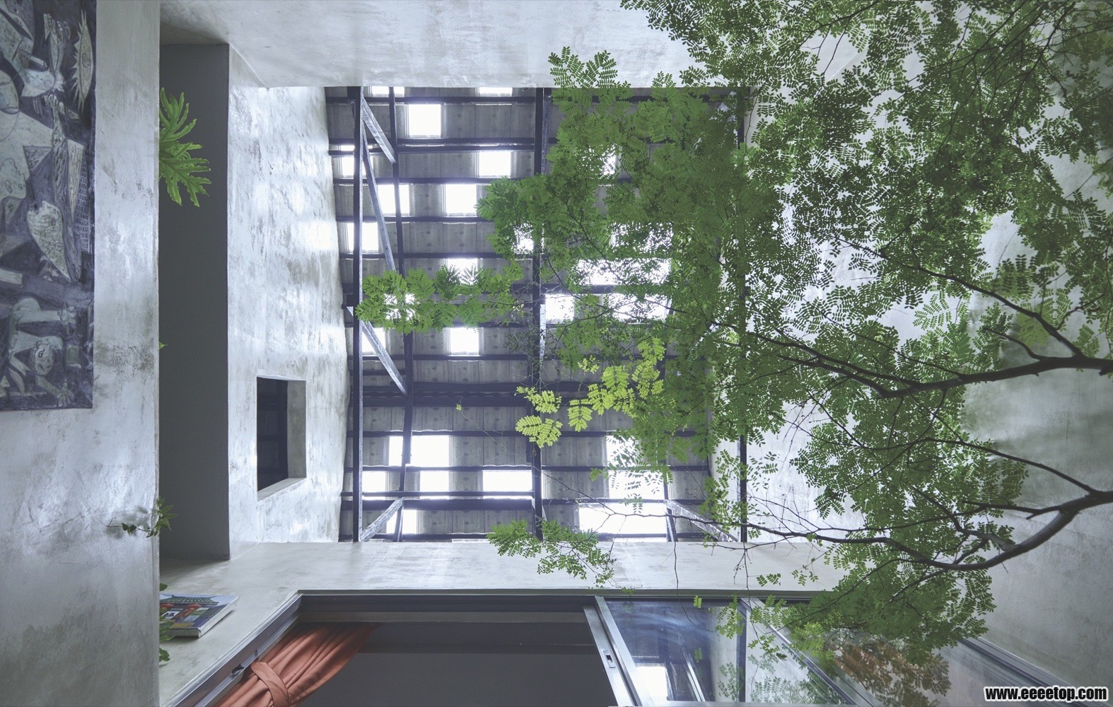 skylight_view.jpg